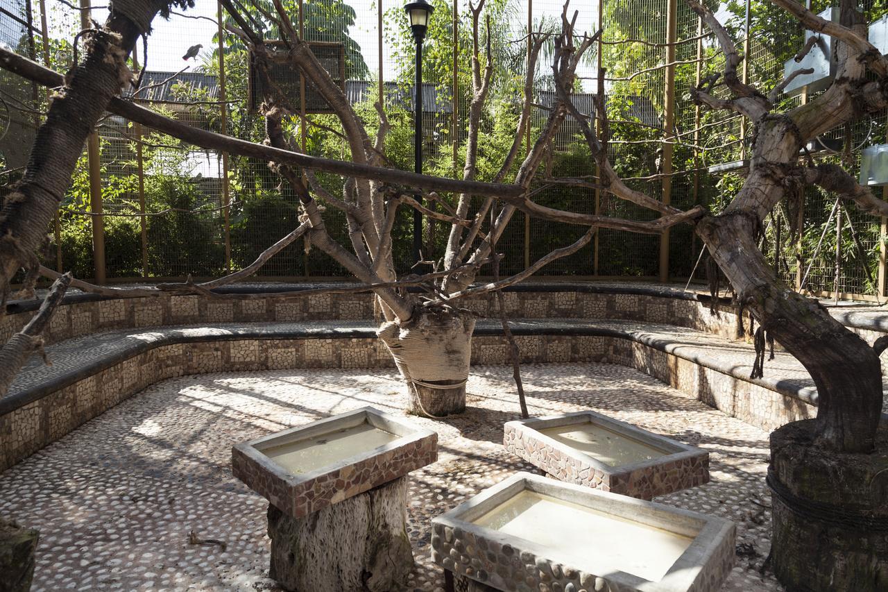 Bungalows Y Temazcal Zoviq Hotell Xochitepec Exteriör bild